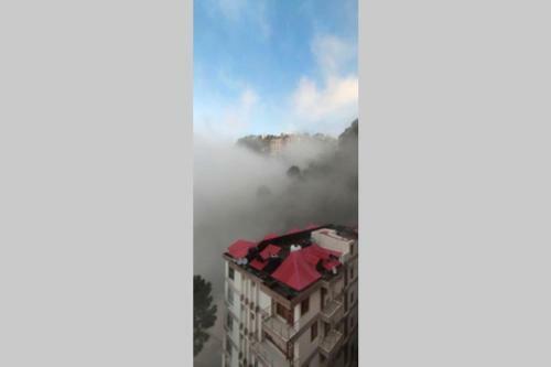 Entire Apartment , Near Kasauli Nature View