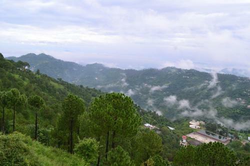 Hotel Amravati Resort