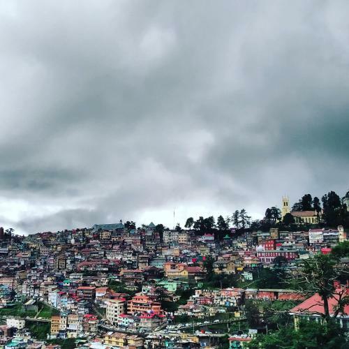 Bed & Breakfast Shimla Pines Homestay