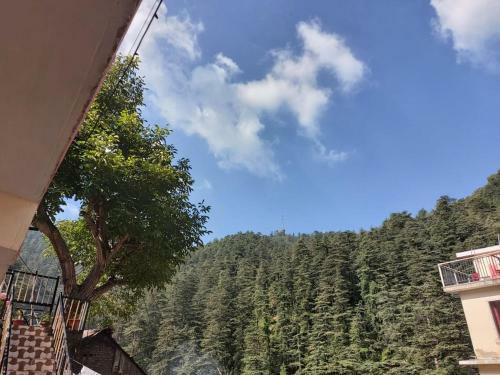 Bed & Breakfast Shimla Pines Homestay