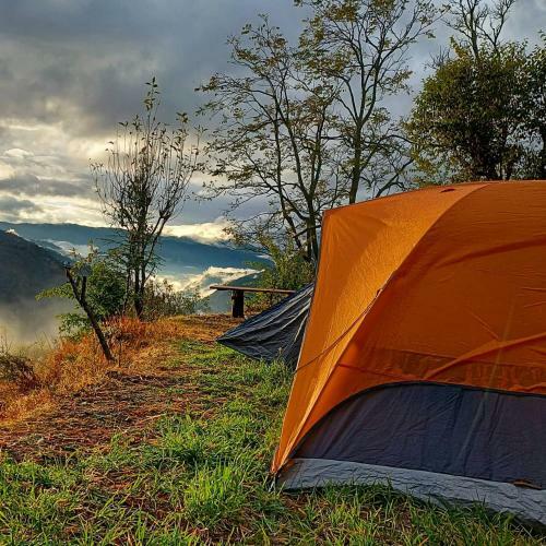The City Escape Camping