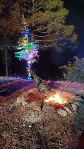 The City Escape Camping