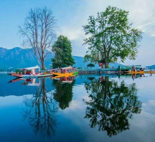 Bed & Breakfast Retreet Group Of Houseboats