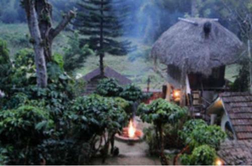 Hostal Coffee Inn