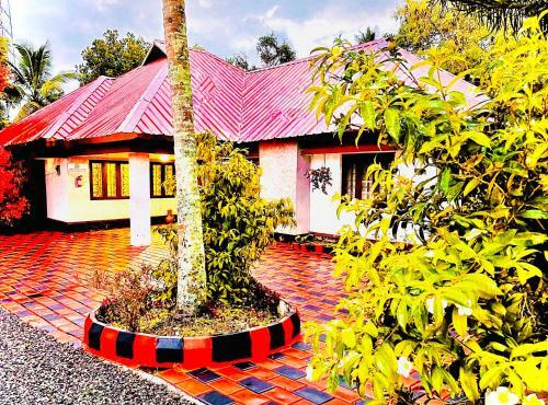 Bed & Breakfast Avalon Grove