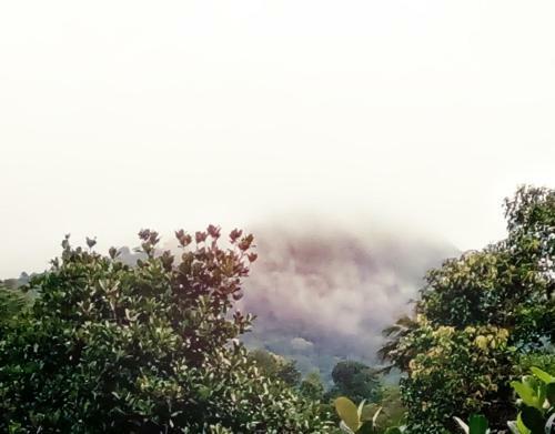 Hostal Hill Mist Thekkady