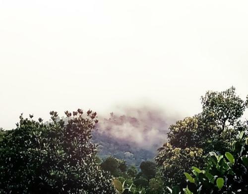 Hostal Hill Mist Thekkady