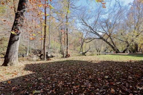 The Bears Den