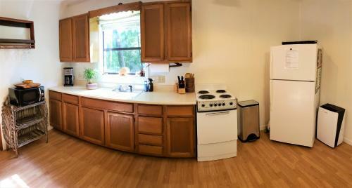 Mountain Laurel Cottage At Hearthstone Cabins And Camping - Pet Friendly