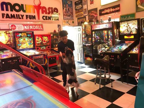 Oasis Arcade