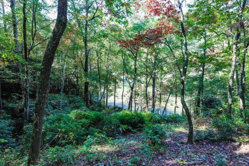 Creekside Hideaway