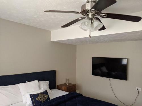 Apartamento Colony Suite