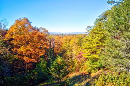Whitetail Bluff