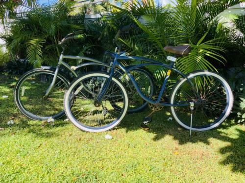 Gorgeous 5br Kailua Beachside Home - Sleeps 12 Home