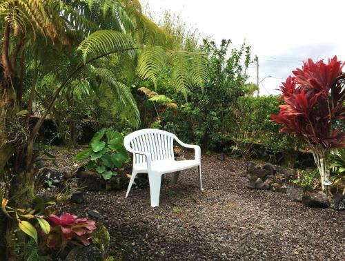 Hostal Guest House In Hilo