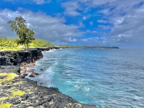 Hale Honu Home