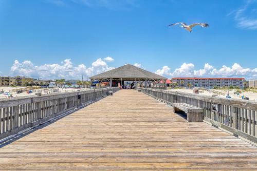 Tybee Blue Cat