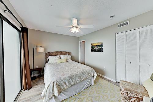 Sandy Palms