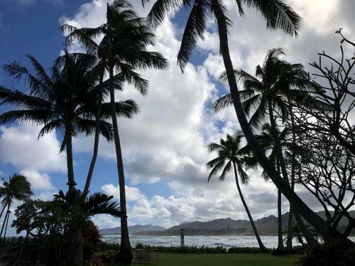 Lae Nani #312, Oceanfront, Ground Floor