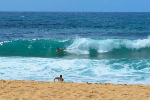 Pili Aloha
