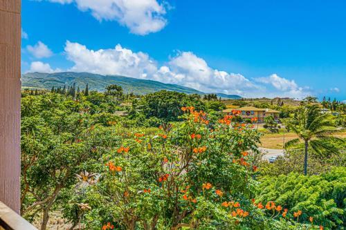 Apartamento Kahana Manor 701 2bd 2ba Oceanview Condo