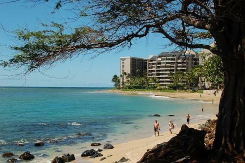 Apartamento Spacious & Modern Maui Condo Steps To The Beach!