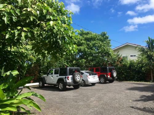 Hostal Bears' Place Guest House