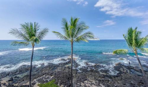 Kona Reef #d31