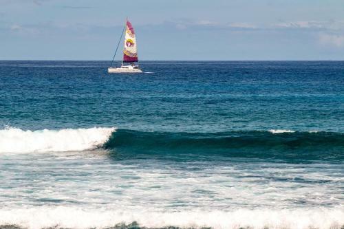 Kona Bali Kai#204