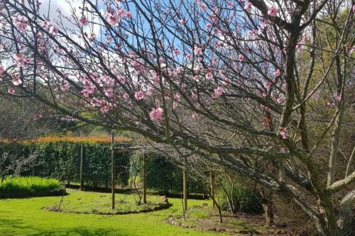 Apartamento Villa 16 @ Rivendell Winery Estate - Yallingup