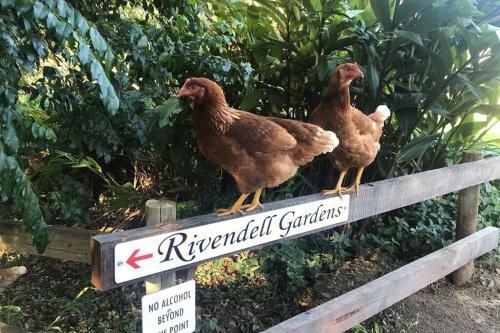 Apartamento Villa 16 @ Rivendell Winery Estate - Yallingup