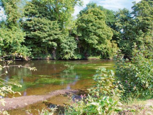 River Cottage