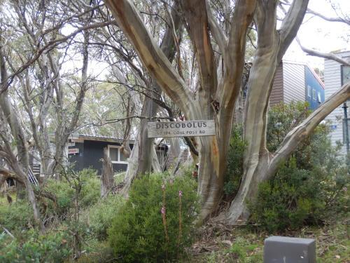 Mountain Retreat Suitable For 2 Families, Sleeps 8