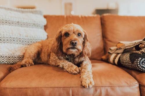 Garden Oasis-1 Min From The Beach & Pet Friendly!