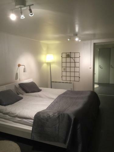 Hostal L�genhet Centralt I V�rnamo Vid Apladalen