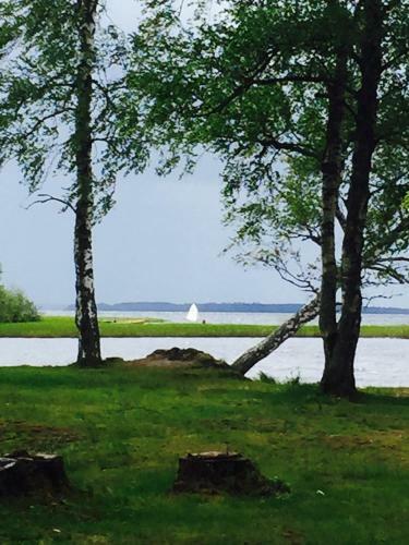 Hostal L�genhet Centralt I V�rnamo Vid Apladalen