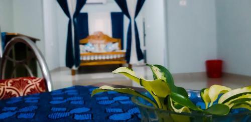 Hotel Amanzara