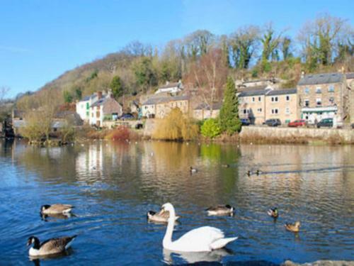 Mill Pond Cottage