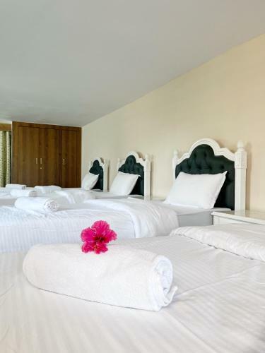 The Riverside Estate Luxury Private Pool Villa Udaipur