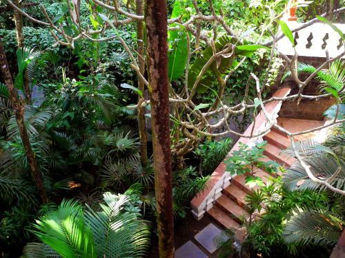 Hostal Marbella Guest House
