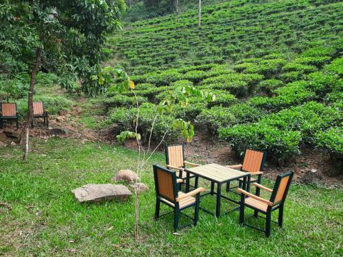 Tea Trees Service Villas