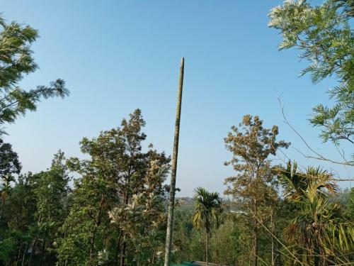 Wayanad Snow Vibes