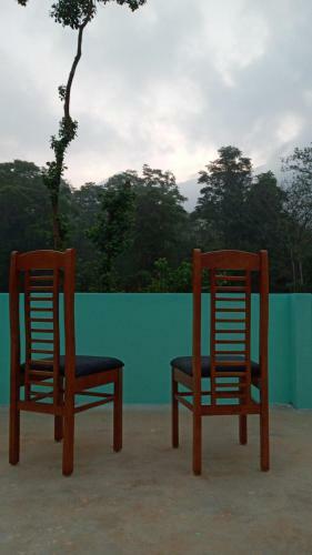 Wayanad Snow Vibes