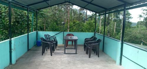 Wayanad Snow Vibes