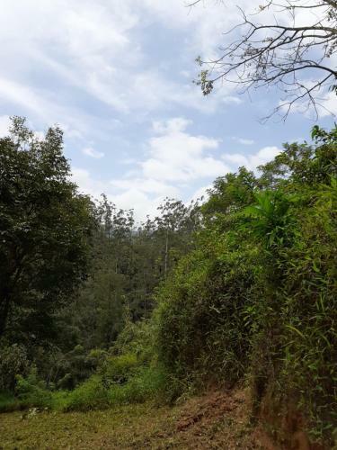 River View Homestay