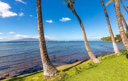 205-4 Ocean View Unit