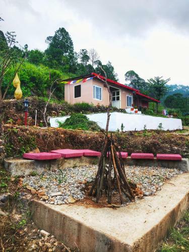 Chamba Nest