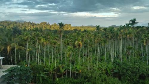 Chamayam Holiday Villa