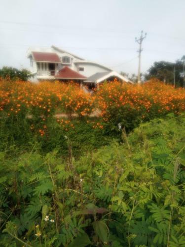 Chamayam Holiday Villa