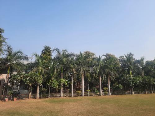 Hotel Signum Cityscapes Bhiwadi